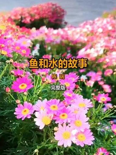 陈瑞深情演唱的《鱼和水的故事》完整版,真情流露,百听不厌。鱼说:“你看不见我眼中的泪,因为