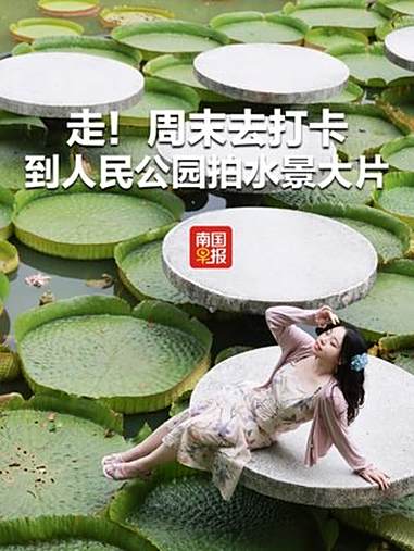 走!周末去打卡——到人民公园拍水景大片 人民公园 拍照 攻略 打卡 南宁(记者:邹财麟 姚
