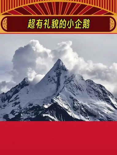 企鹅:人 拥抱完了吗 娱乐评论大赏