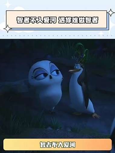 智者不入爱河，遇你难做智者 马达加斯加的企鹅 鹅滴神片