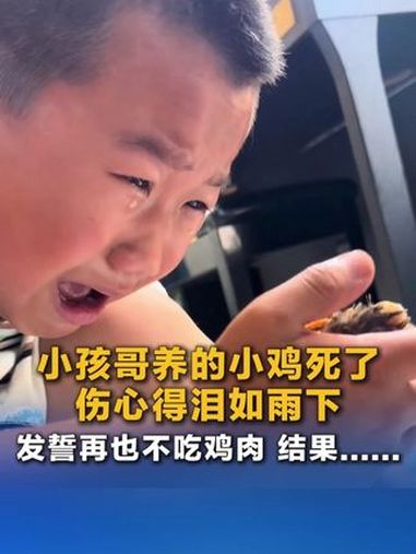 小孩哥养的小鸡死了 伤心得泪如雨下 发誓再也不吃鸡肉 结果……轻松一刻