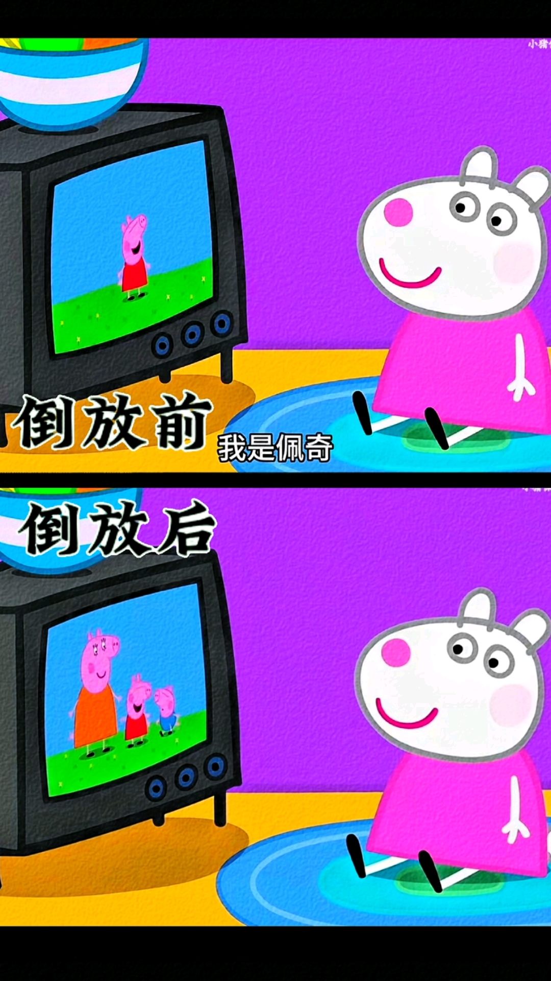 小猪佩奇动画