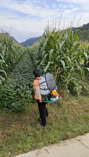 真香福利第804期 黑丝小姐姐在球场诱惑我