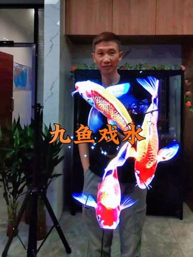 九鱼戏水图打破常规,颠覆想象,科技与艺术相结合!桌面摆件 裸眼3D 全息风扇 文创 科技改