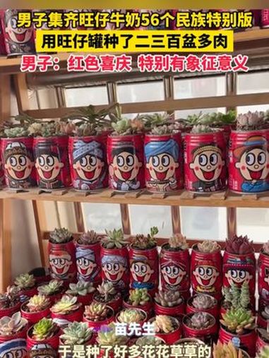男子集齐56个民族特别版牛奶罐种植多肉。网友:民族团结,幸福生活红红火火(新华社)