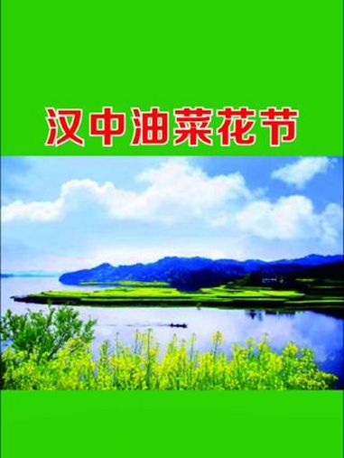 汉中油菜花节 汉相微参 汉中 中国最美油菜花海
