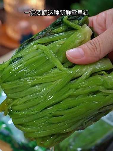 新鲜雪里蕻咸菜,清香脆嫩,平时不知道吃什么的时候就试试这个 特别下饭好吃 雪里蕻 下饭菜