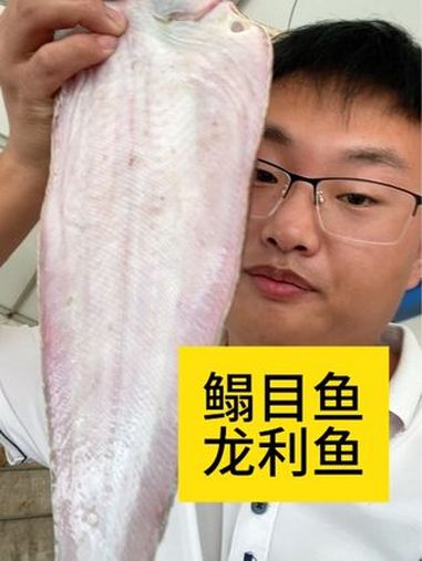 鳎目鱼,龙利鱼,舌头鱼,你们那边管这个鱼叫什么,多少钱一斤?怎么吃?鳎目鱼 龙利鱼 海鲜