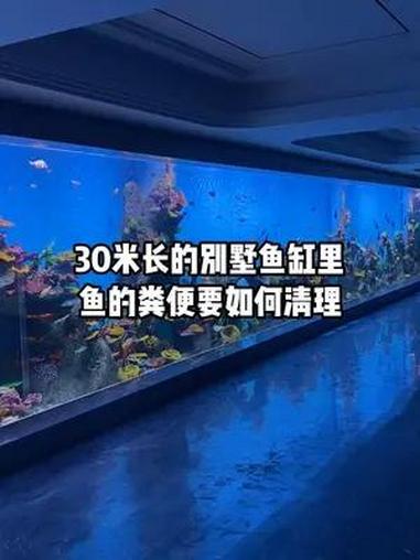 想知道30米长大型别墅鱼缸里的鱼缸粪便如何清理吗?