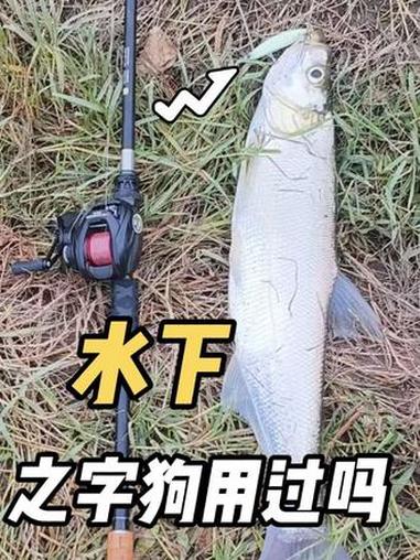 路亚假饵那么多,水下之子狗用过吗?钓翘嘴老刺激了,蓝旗鱼出品 本来我是冰丝虾钓的好好的,突