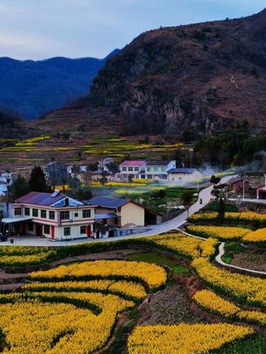 再美的文案,都不及这一刻的春暖花开,安康汉阴县漩涡镇的凤堰古梯田油菜花已盛开,花海、梯田、