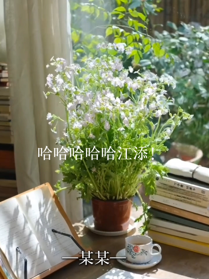 #某某江添盛望#