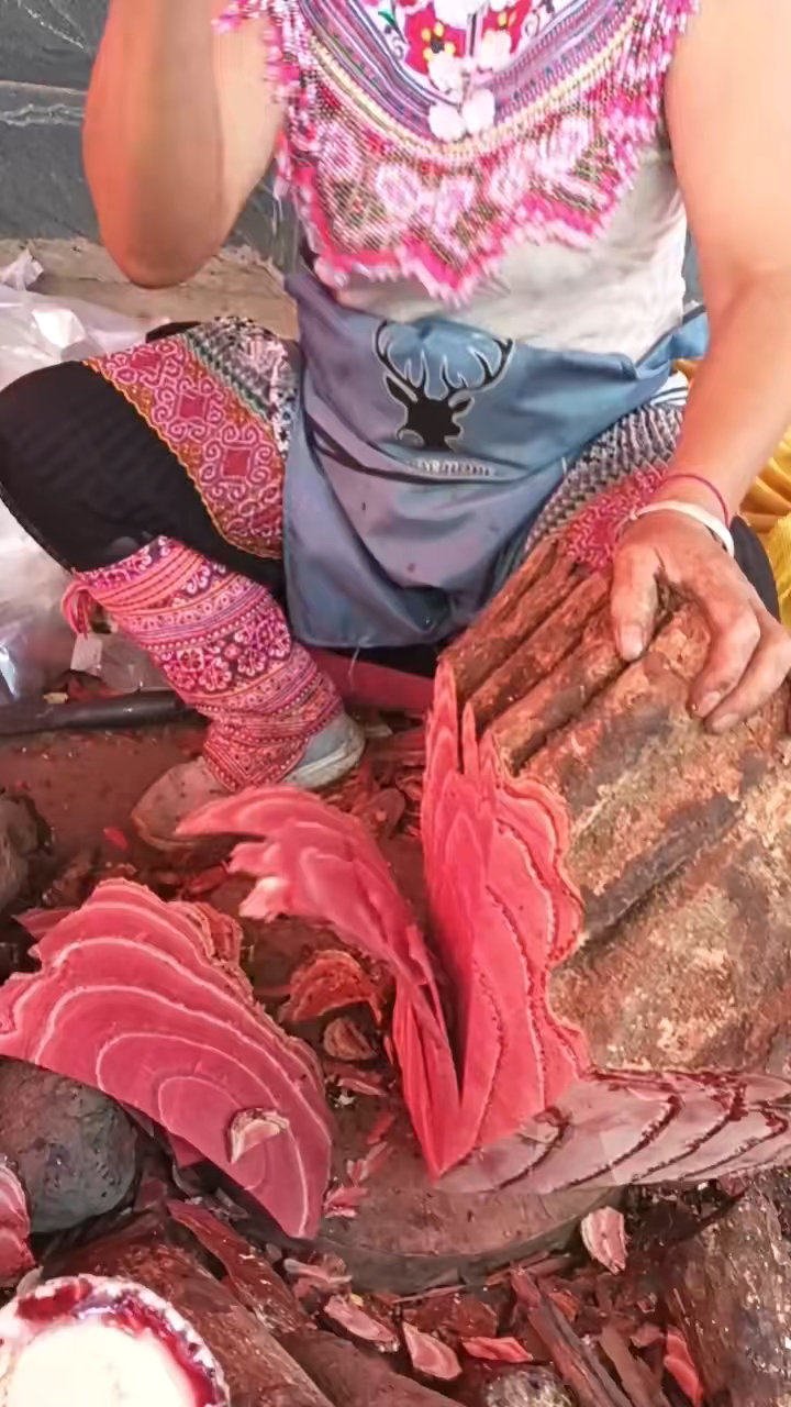 大山的恩赐 野生鸡血藤 比水桶还粗壮