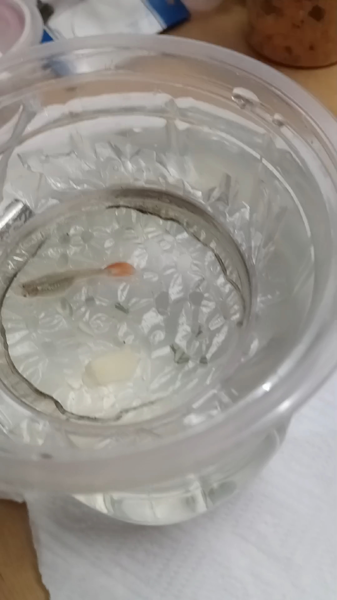 自制孔雀鱼产房