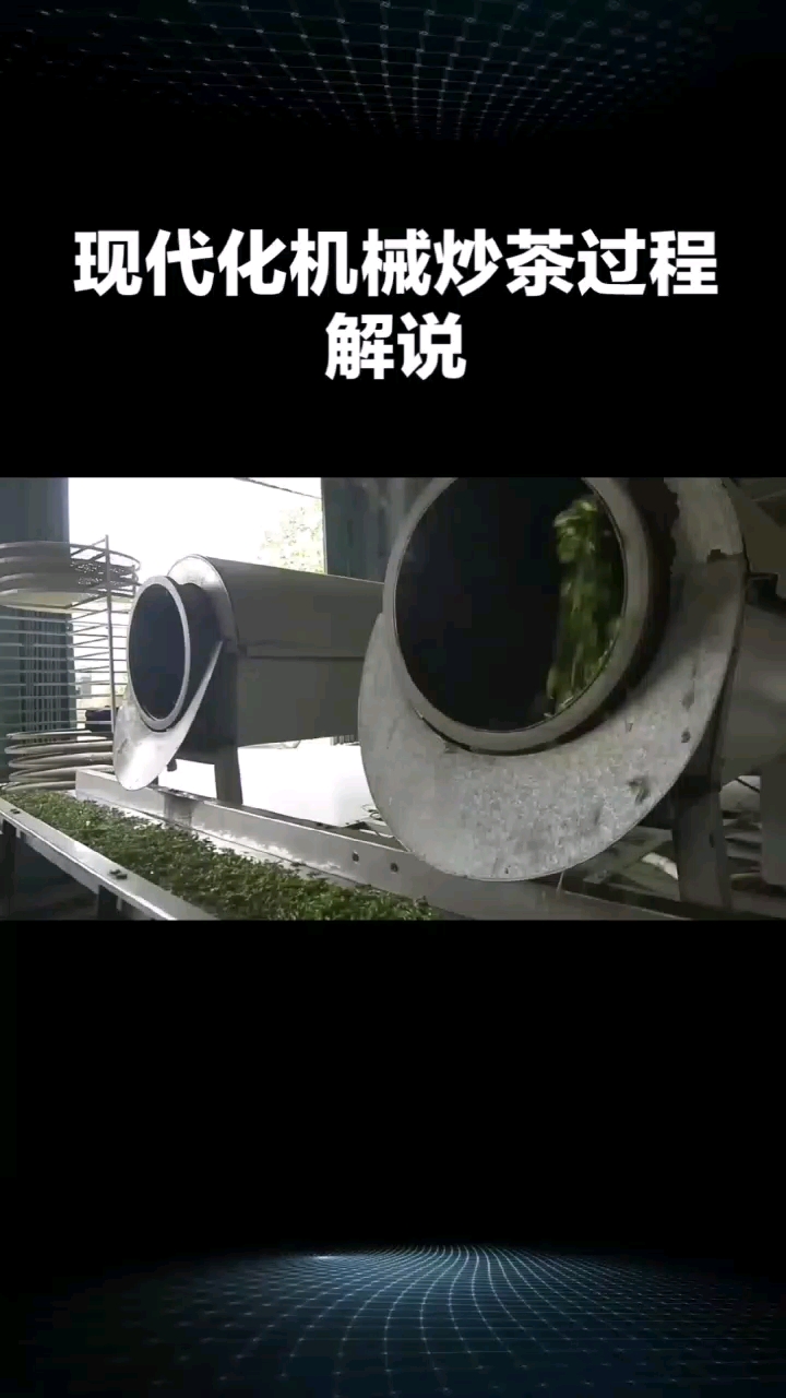 佛手茶叶现代化机械炒茶#新大陆计划# #健康生活指南# #茶香四溢的午后#