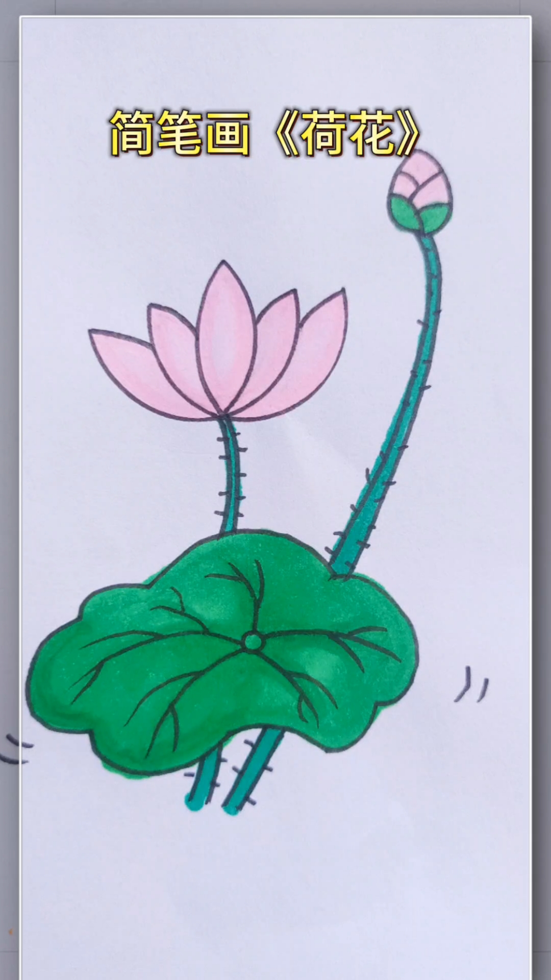 儿童简笔画 荷花 