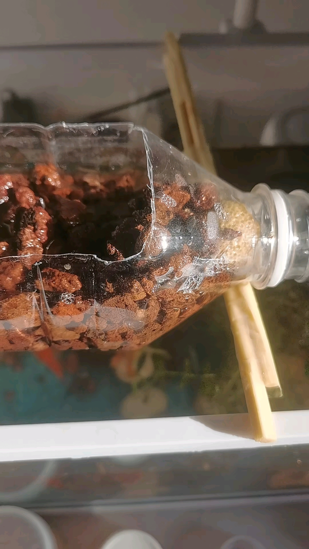 自制小鱼缸过滤器