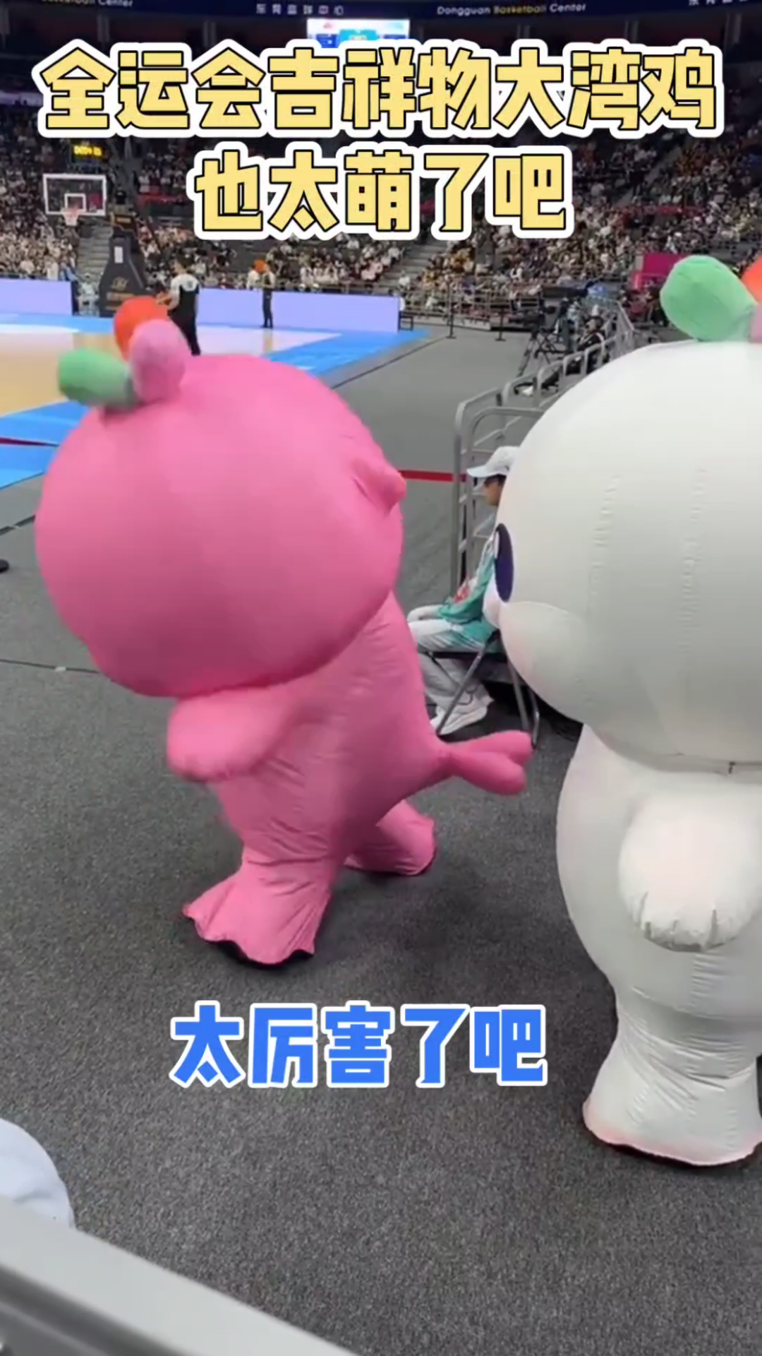 全运会吉祥物大湾鸡也太萌了吧!