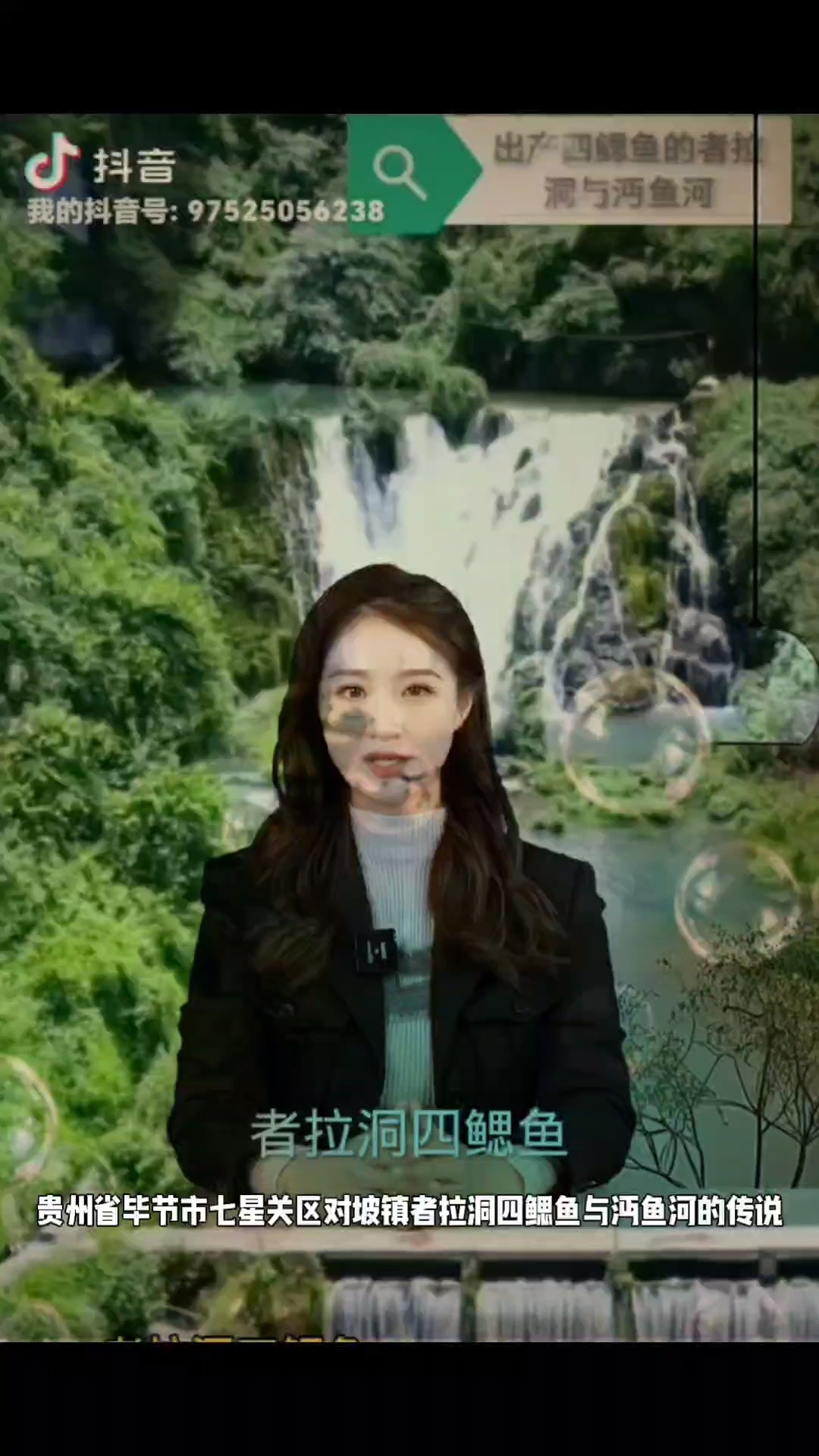 贵州省毕节市七星关区对坡镇者拉洞四鳃鱼与沔鱼河的传说。