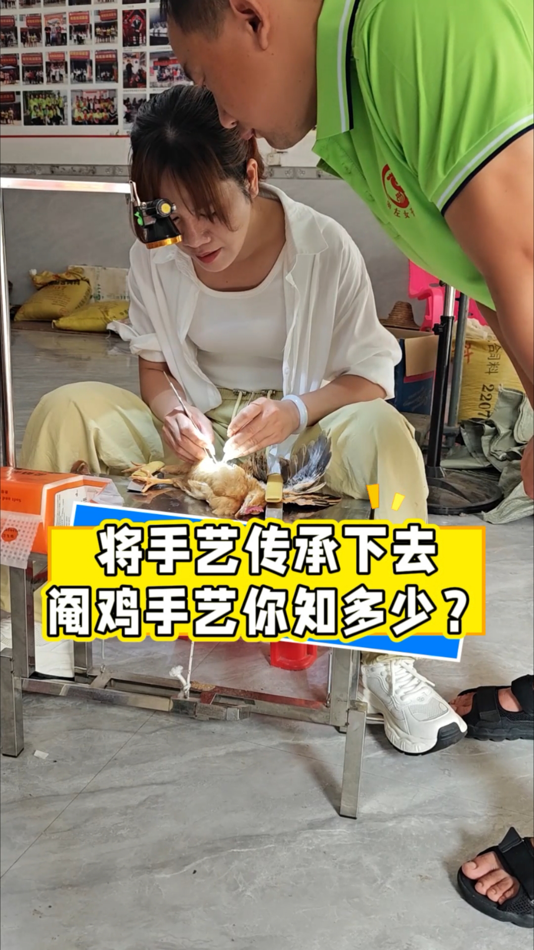 老手艺阉鸡传承下去