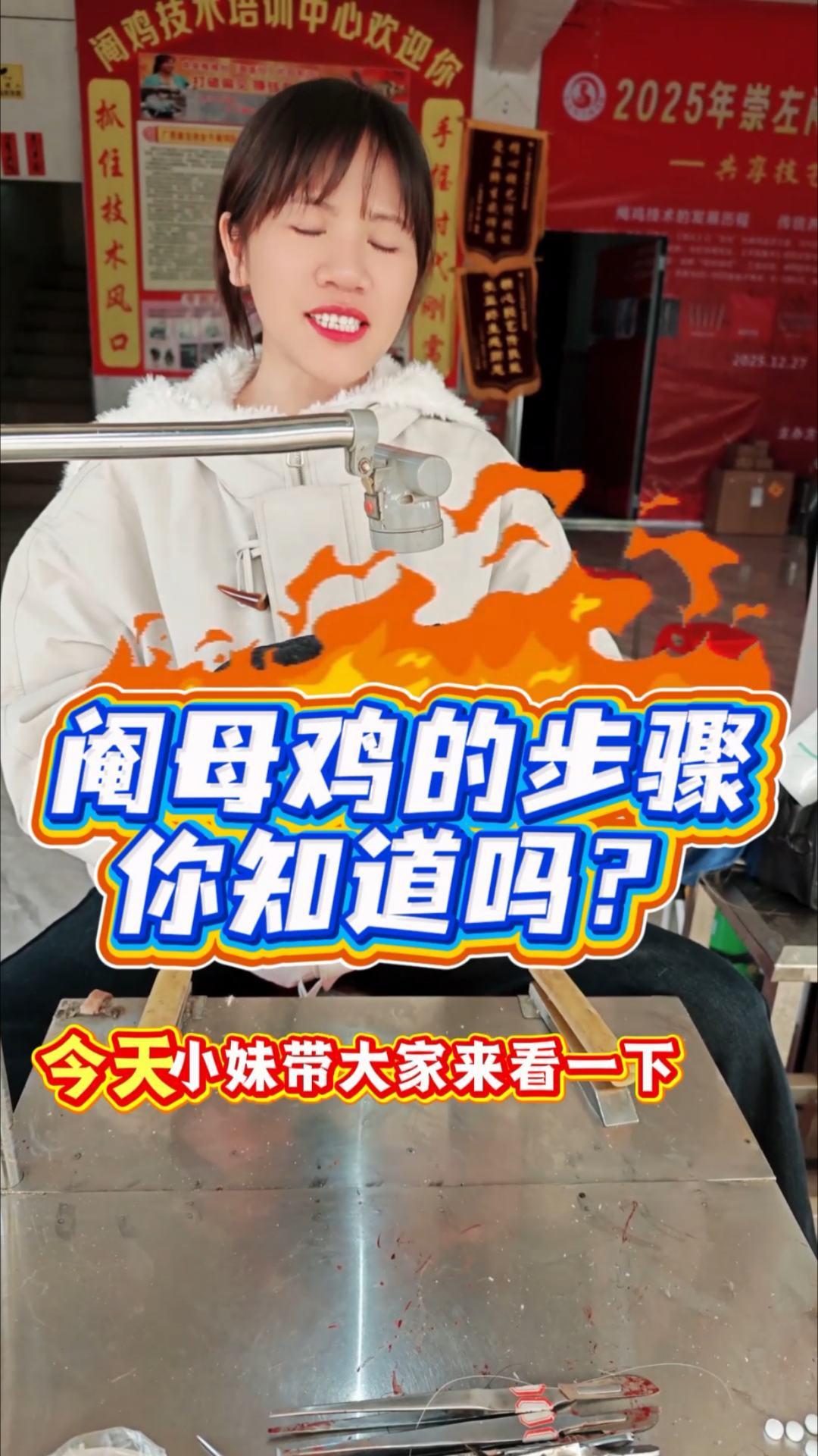 阉鸡见多了，阉母鸡呢？你们知道吗？