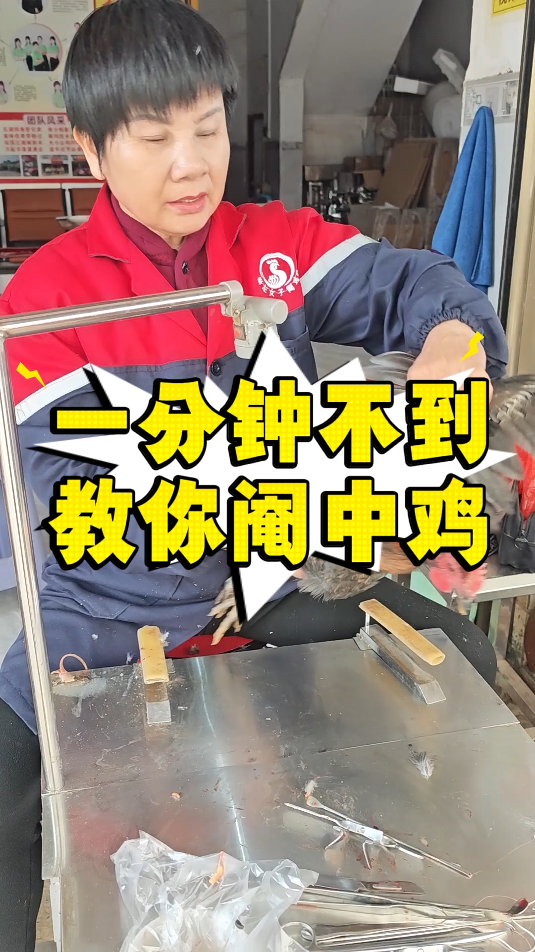 精准阉鸡手法，不拖沓，一分钟教你阉中鸡