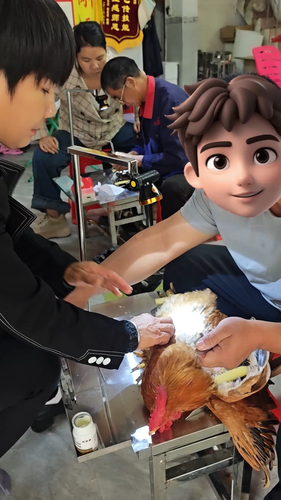 乡村手艺阉鸡过程,看着太容易了