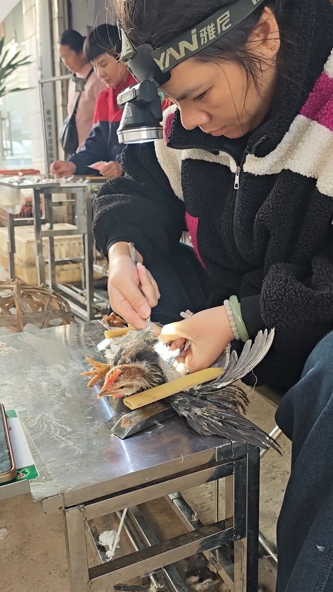 一个动作让公鸡大变样,不打架也不打鸣了