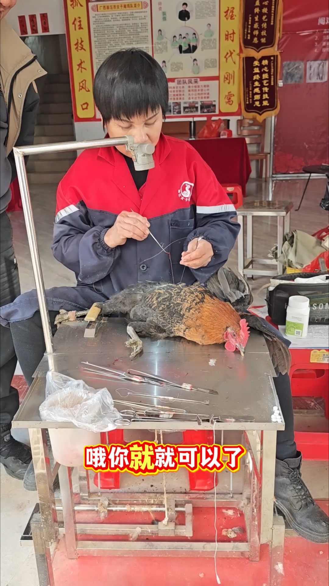 日常阉鸡不踩坑！阉鸡时口传心授小技巧