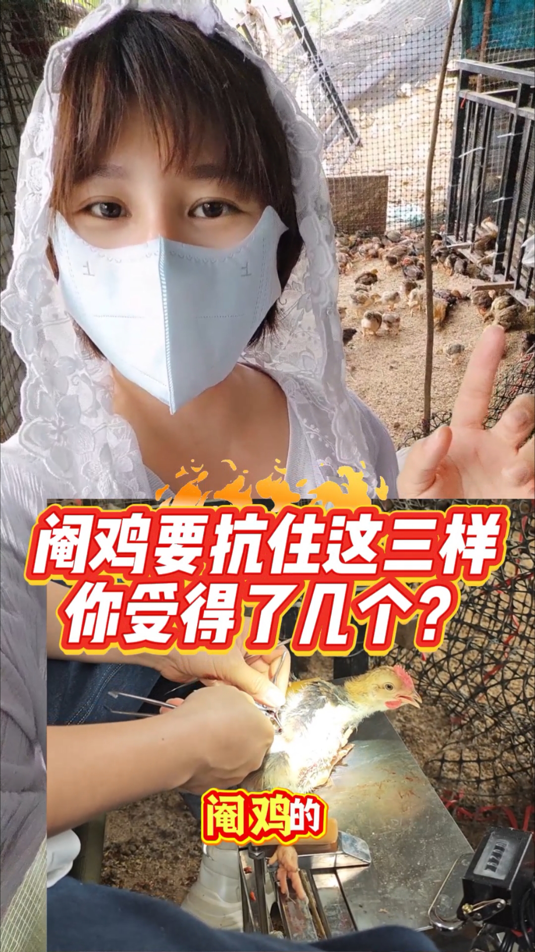 阉鸡那些不为人知的一面#阉鸡# #阉鸡培训# #传统手艺传承# #养鸡人必看# #乡村手艺