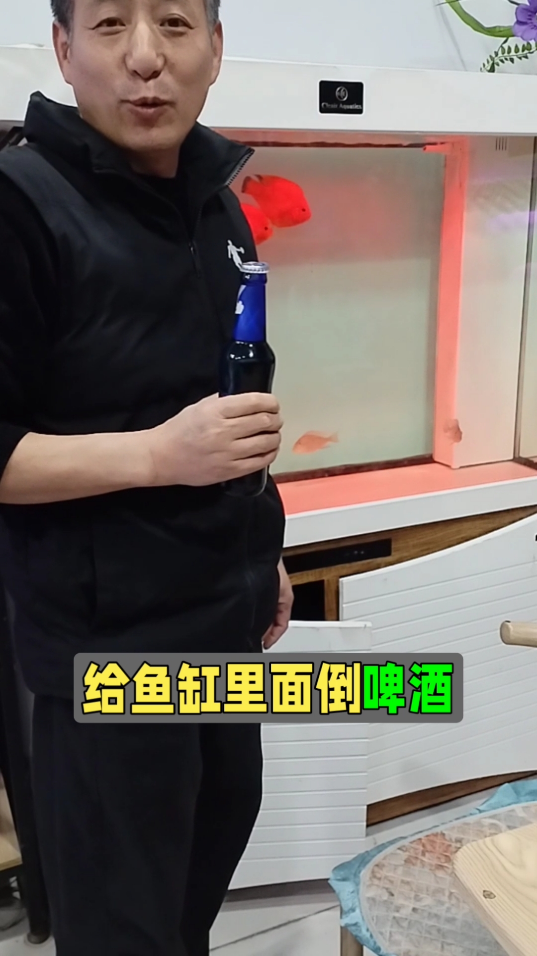 啤酒真的能净化鱼缸水质?实测揭秘