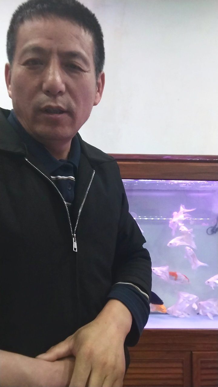 蝴蝶鱼品种选择大揭秘