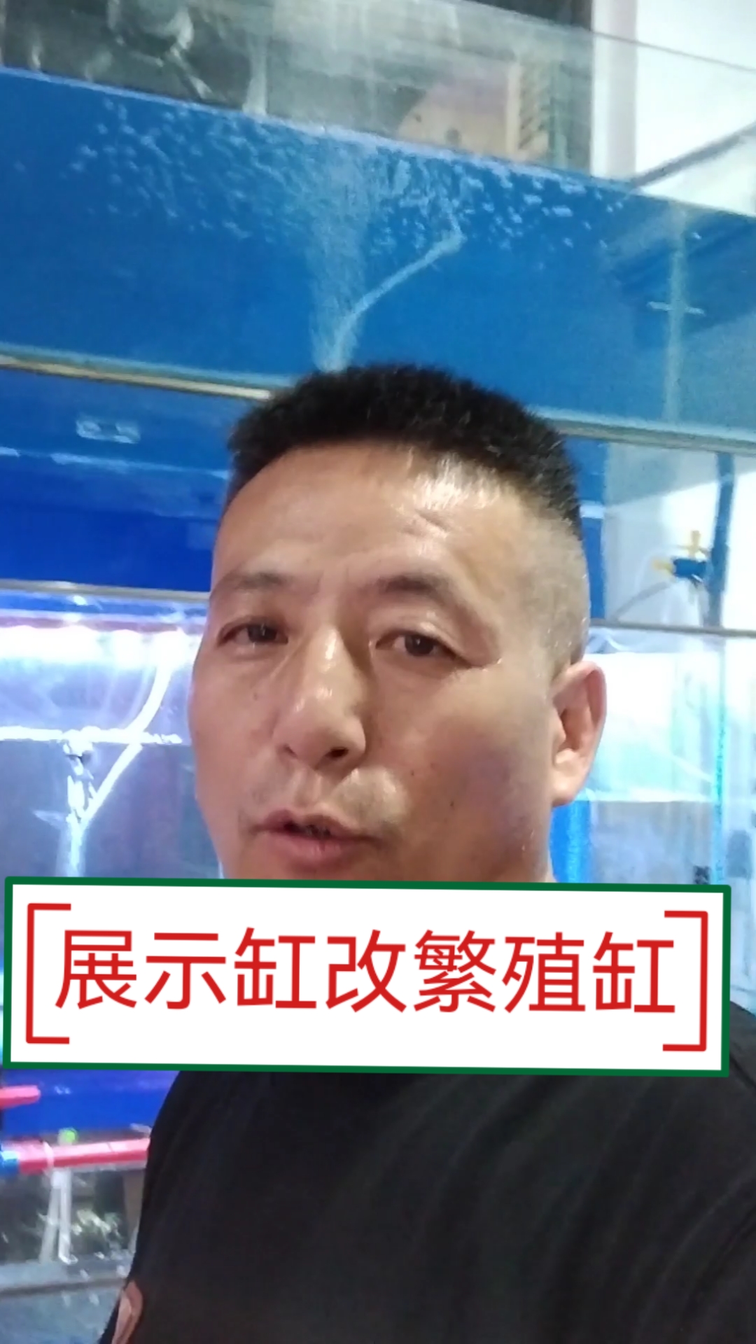 1米鱼缸巧改繁殖缸，分层设计真给力