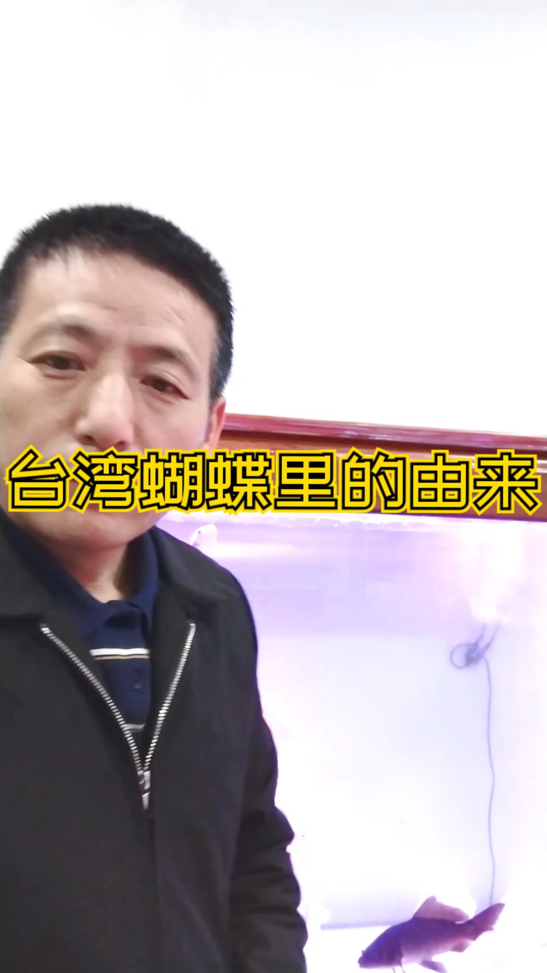 揭秘水中仙子:蝴蝶鲤的诞生