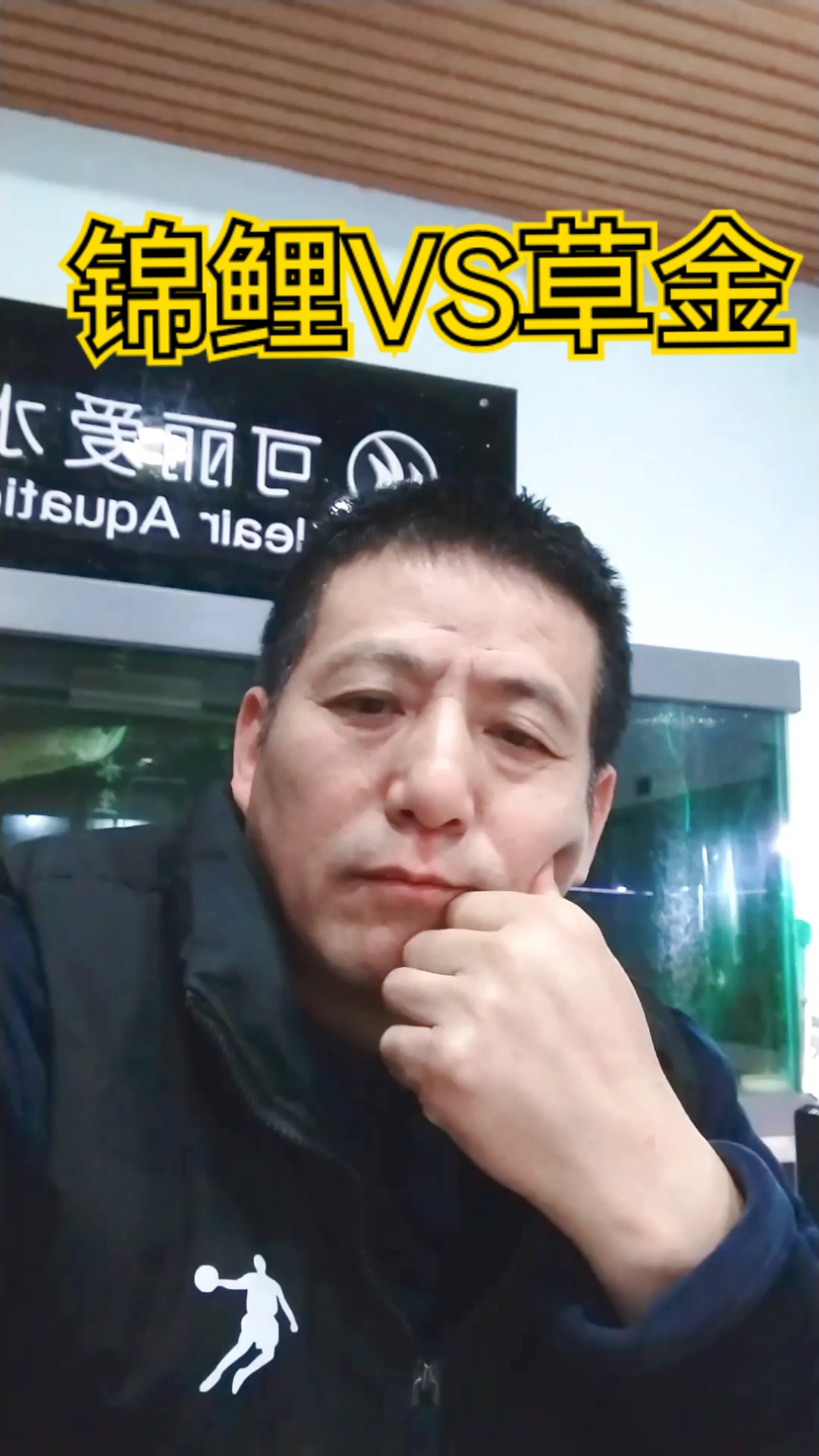 轻松区分锦鲤与红草金鱼技巧,别将两种混认