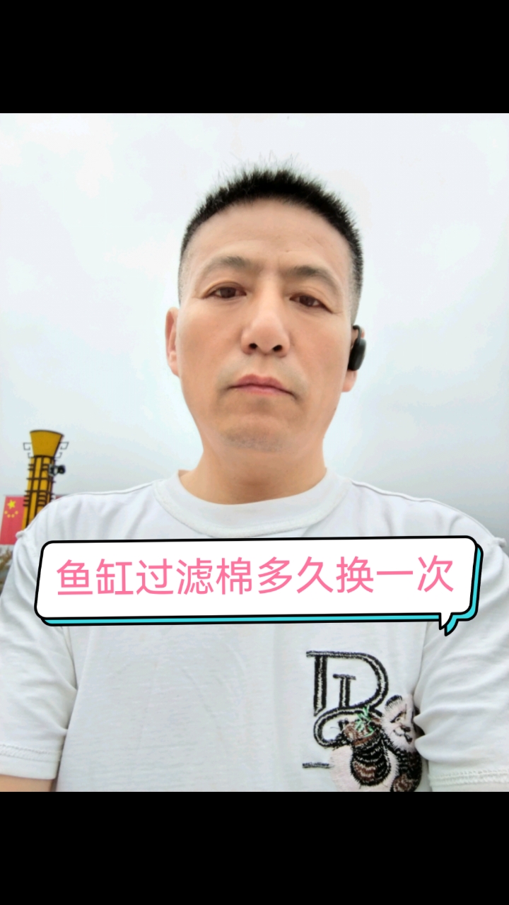 鱼缸物理过滤棉的作用与更换