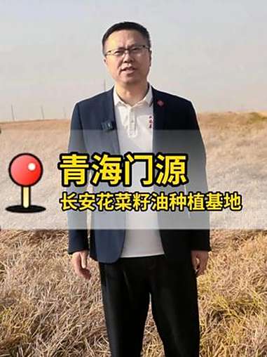 高原油菜籽收割季到啦 三农 油菜籽 长安花菜籽油 青海油菜籽