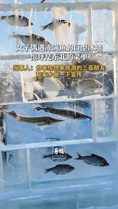 女子偶遇冻满鱼的巨型冰墙惊呼是东北的菜单 当事人:分享给想来旅游的三亚朋友 帮家乡做一下宣