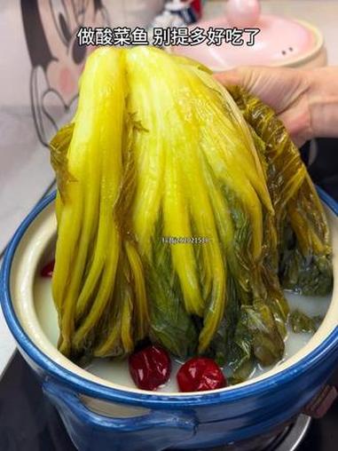 2块不到腌了一盆无盐酸菜 零失败的做法 酸辣开胃特别下饭，做酸菜鱼真好吃#酸菜#腌酸菜 #