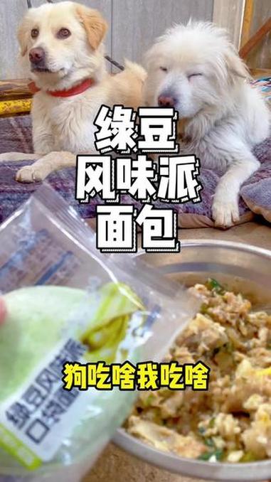 #狗吃啥我吃啥 #绿豆风味 #风味面包 #精彩内容推荐 #宠物出道计划