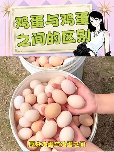 原来鸡蛋与鸡蛋之间是有区别的啊!鸡蛋 鸡蛋的神仙吃法 土鸡蛋 万万想不到 内容启发搜索
