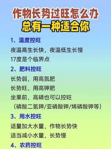 蔬菜大棚 草莓种植 番茄种植 控旺技巧 传播农业小知识 作物长势过旺怎么办?总有一种适合你
