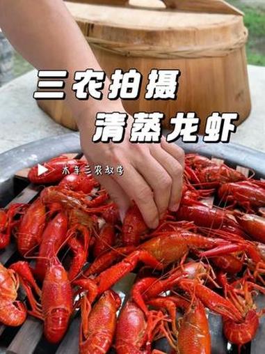 三农视频清蒸龙虾拍摄教学#三农拍摄 #抖音新农人 #新农人计划 #乡村美食