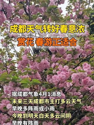 #成都天气# 未来三天成都市主打多云天气，早晚多阵雨或小雨。3—4日转为多云间晴的好天气，