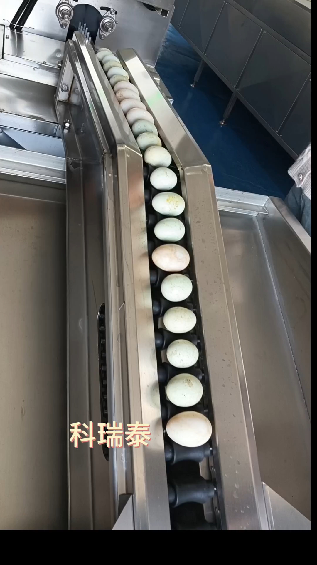 鸭蛋清洗机  保洁蛋流水线清洗鸡蛋鸭蛋