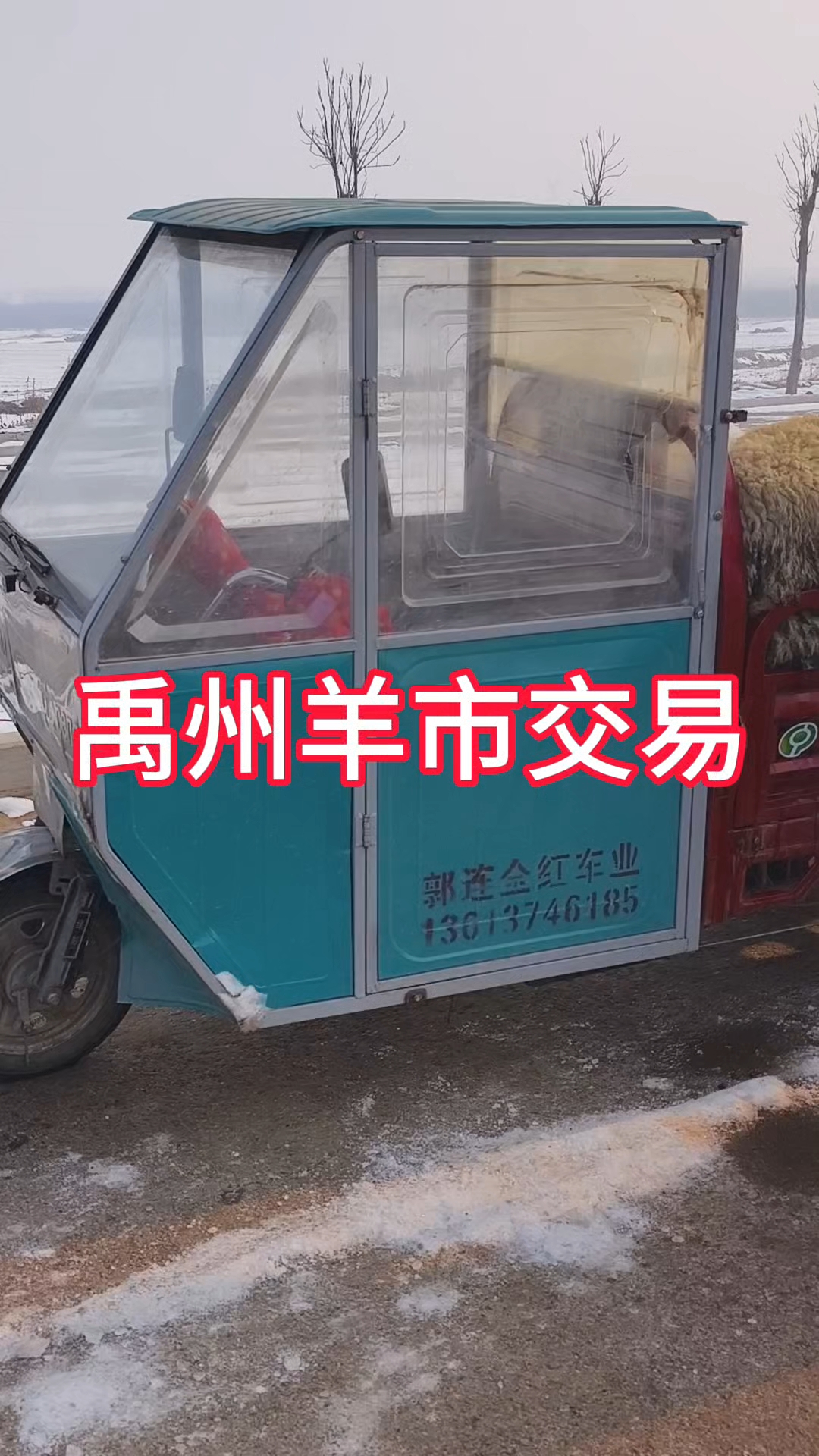 禹州羊市交易#羊价行情# #羊肉价格# #我的创作高光# #养殖#三农#养羊人