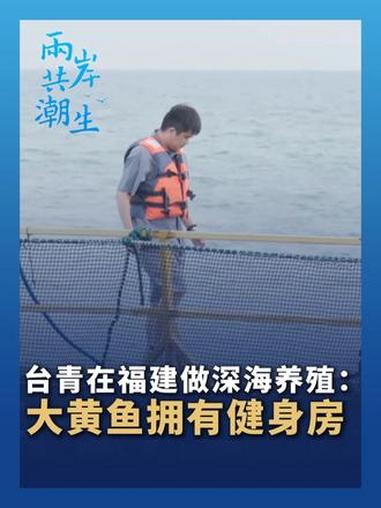 台青在福建做#深海养殖：#大黄鱼拥有健身房 #媒体精选计划