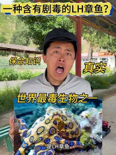 世界上最毒生物之一的“蓝环章鱼” 奇闻异事 真实还原 蓝环章鱼 世界上最毒的动物