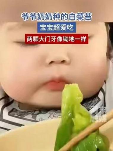 爷爷奶奶种的白菜苔,宝宝超爱吃,两颗大门牙像锄地一样。(来源 临沂河东融媒)