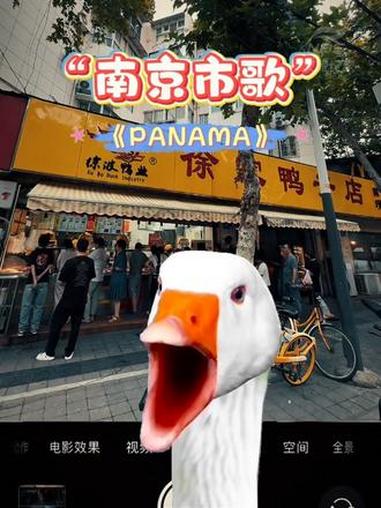 我非官方宣布:《Panama》是南京市歌!南京 南京美食 南京烤鸭 panama